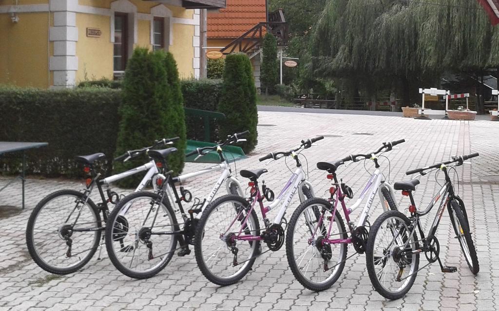 ホテル セレタ Lillafüred エクステリア 写真